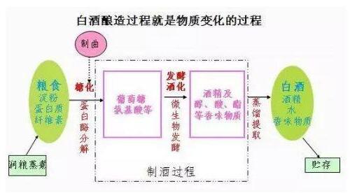 山东酒曲酿制过程