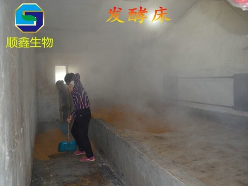 发酵床