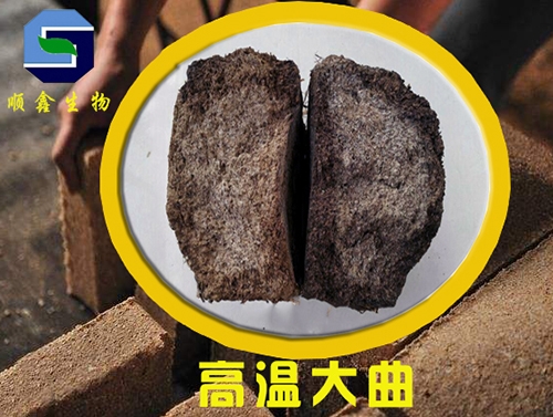 山东高温大曲